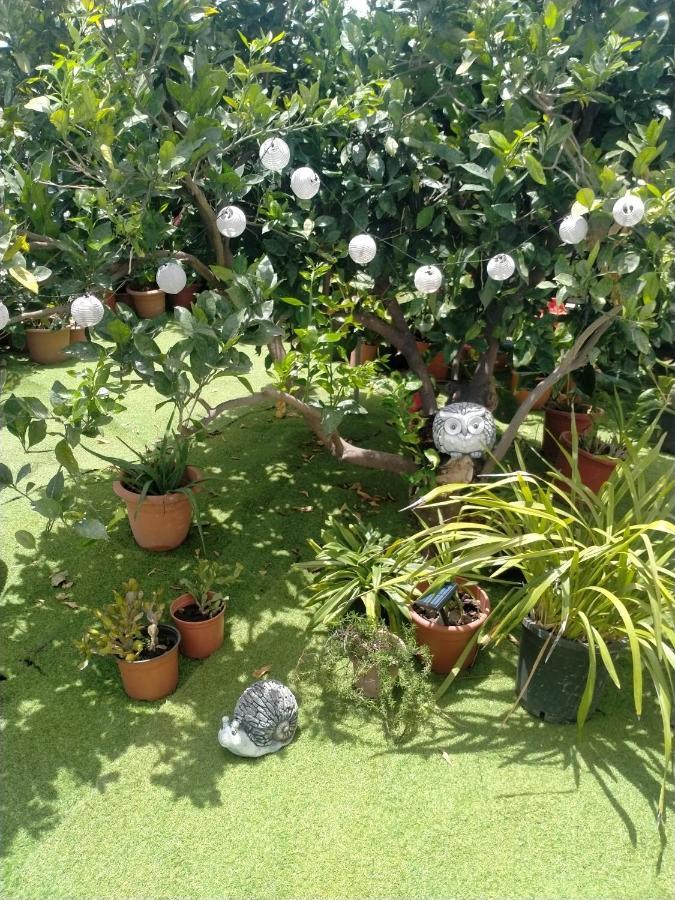 Casa Nine Con Piscina Vacacional La Palma Daire Breña Baja Dış mekan fotoğraf